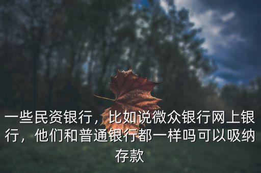 一些民資銀行，比如說(shuō)微眾銀行網(wǎng)上銀行，他們和普通銀行都一樣嗎可以吸納存款