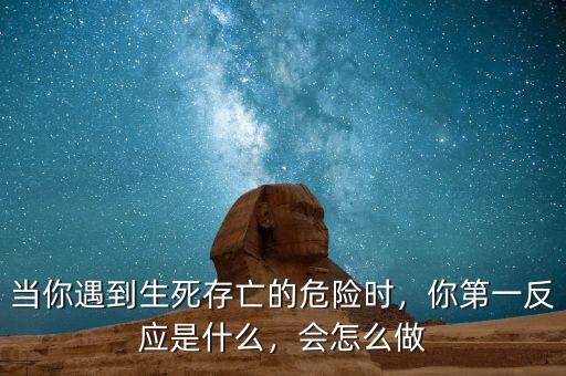 什么生死存亡的問題,當(dāng)你遇到生死存亡的危險(xiǎn)時