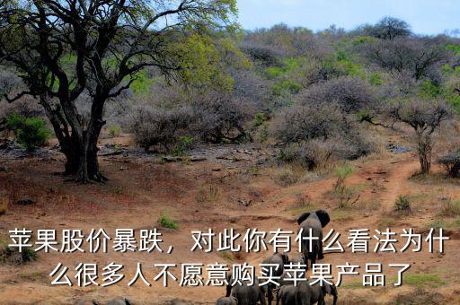 蘋果股價(jià)暴跌，對(duì)此你有什么看法為什么很多人不愿意購(gòu)買蘋果產(chǎn)品了