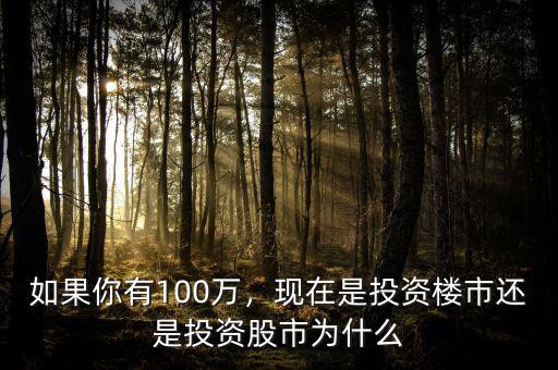 如果你有100萬，現(xiàn)在是投資樓市還是投資股市為什么