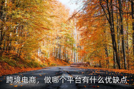 跨境電商，做哪個(gè)平臺(tái)有什么優(yōu)缺點(diǎn)