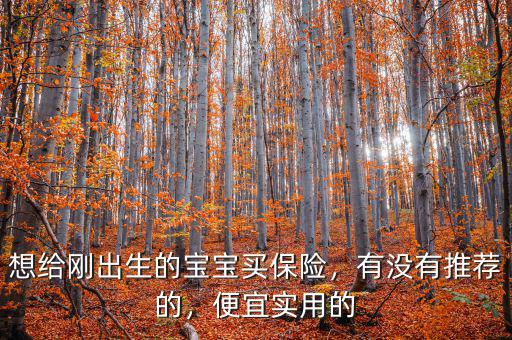 想給剛出生的寶寶買保險，有沒有推薦的，便宜實用的