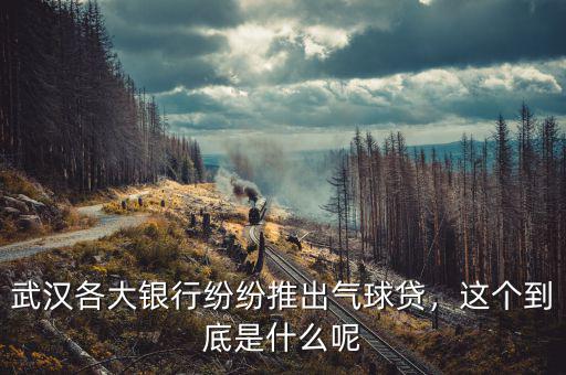 武漢各大銀行紛紛推出氣球貸，這個(gè)到底是什么呢