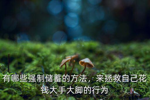 有哪些強(qiáng)制儲蓄的方法，來拯救自己花錢大手大腳的行為