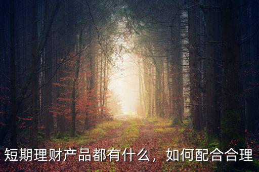 短期理財產(chǎn)品都有什么，如何配合合理