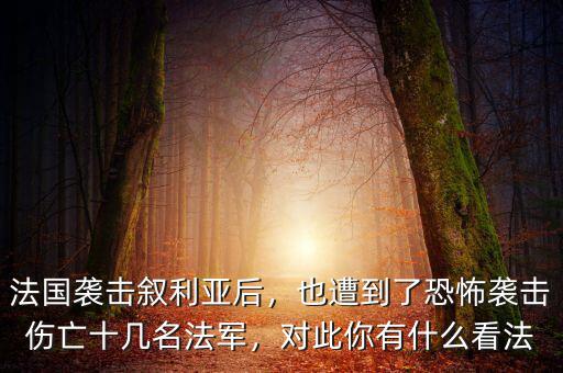 法國襲擊敘利亞后，也遭到了恐怖襲擊傷亡十幾名法軍，對此你有什么看法