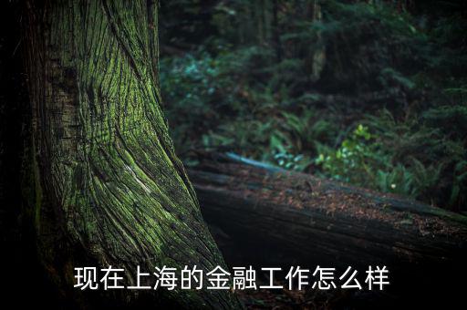 上?；バ沤鹑谠趺礃?上海立信會計金融學院怎么樣