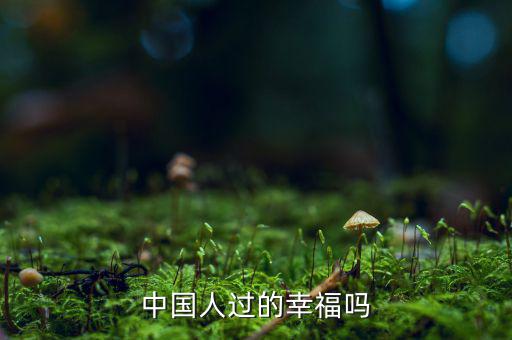 中國(guó)人過(guò)的幸福嗎