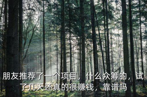 朋友推薦了一個項目，什么眾籌的，試了幾天還真的很賺錢，靠譜嗎