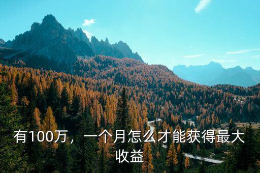 有100萬(wàn)，一個(gè)月怎么才能獲得最大收益