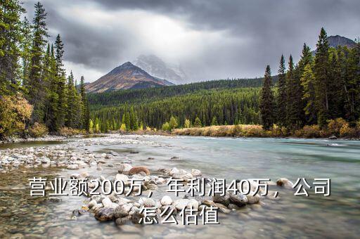 營(yíng)業(yè)額200萬(wàn)，年利潤(rùn)40萬(wàn)，公司怎么估值