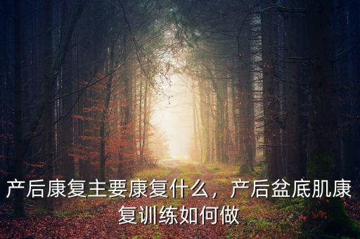 產后康復主要康復什么，產后盆底肌康復訓練如何做