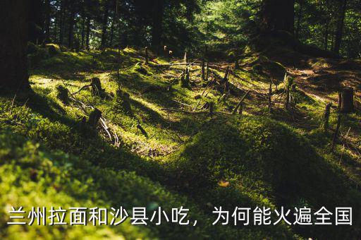 蘭州拉面和沙縣小吃，為何能火遍全國