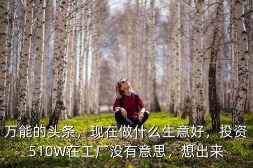 萬能的頭條，現(xiàn)在做什么生意好，投資510W在工廠沒有意思，想出來