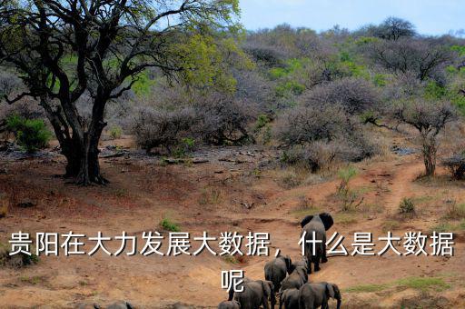 貴陽在大力發(fā)展大數(shù)據(jù)，什么是大數(shù)據(jù)呢