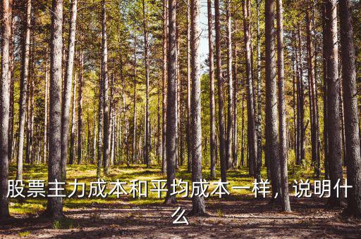 股票主力成本和平均成本一樣，說明什么