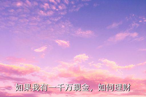 如果我有一千萬(wàn)現(xiàn)金，如何理財(cái)