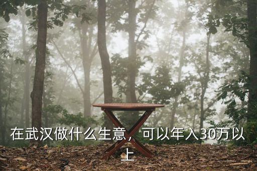 在武漢做什么生意，可以年入30萬(wàn)以上