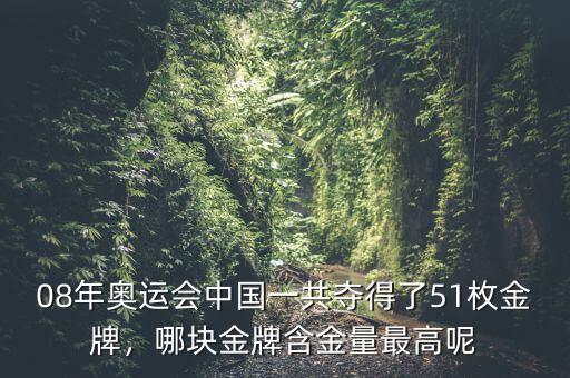 08年奧運會中國一共奪得了51枚金牌，哪塊金牌含金量最高呢