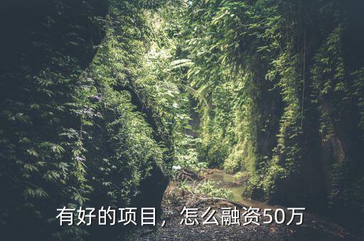 有好的項(xiàng)目，怎么融資50萬