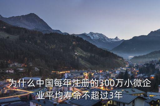 為什么中國(guó)每年注冊(cè)的300萬(wàn)小微企業(yè)平均壽命不超過(guò)3年