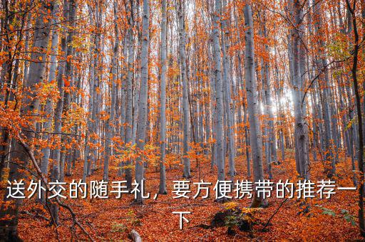 送外交的隨手禮，要方便攜帶的推薦一下