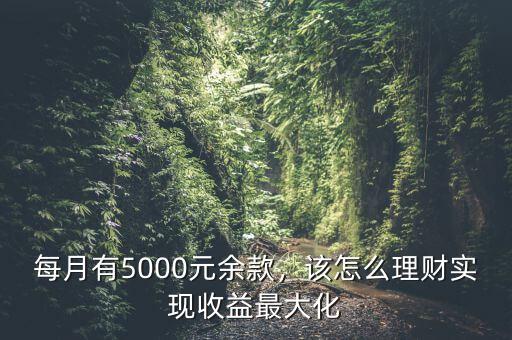 每月5000塊怎么理財,該怎么理財實(shí)現(xiàn)收益最大化