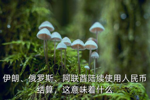伊朗、俄羅斯、阿聯(lián)酋陸續(xù)使用人民幣結(jié)算，這意味著什么