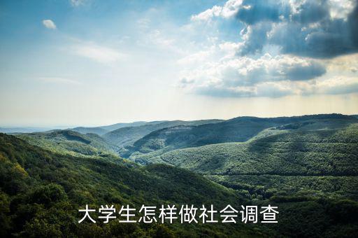 大學生怎樣做社會調(diào)查