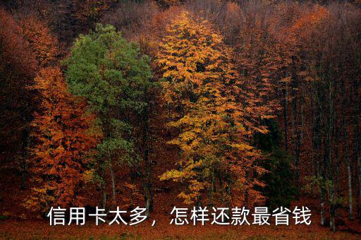 信用卡太多，怎樣還款最省錢