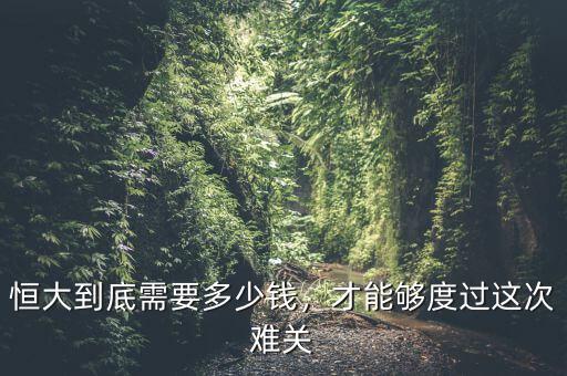 恒大到底借了多少錢(qián),恒大集團(tuán)破產(chǎn)以后