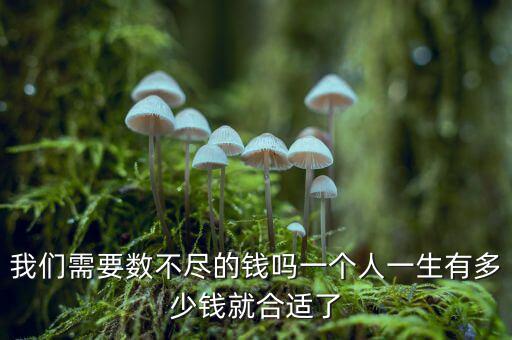 我們需要數不盡的錢嗎一個人一生有多少錢就合適了
