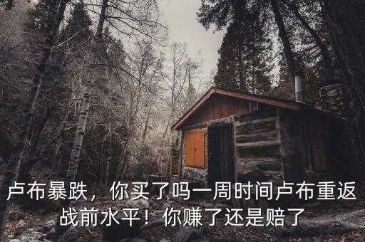 盧布暴跌，你買了嗎一周時(shí)間盧布重返戰(zhàn)前水平！你賺了還是賠了