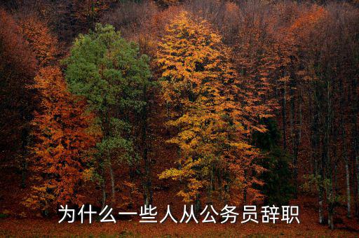 為什么一些人從公務員辭職