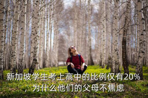 新加坡學生考上高中的比例僅有20%，為什么他們的父母不焦慮