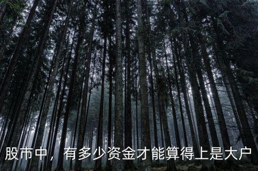 股市中，有多少資金才能算得上是大戶