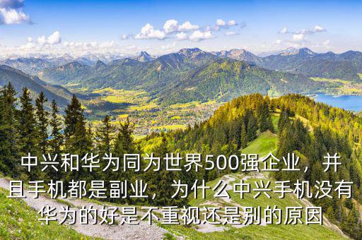 中興為什么名聲沒(méi)有華為好,為什么中興手機(jī)沒(méi)有華為的好