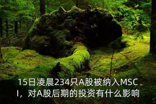 15日凌晨234只A股被納入MSCI，對(duì)A股后期的投資有什么影響