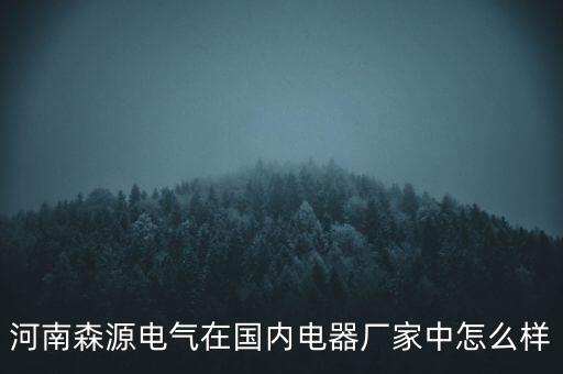河南森源電氣在國(guó)內(nèi)電器廠(chǎng)家中怎么樣