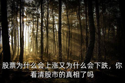 股票為什么會上漲又為什么會下跌，你看清股市的真相了嗎