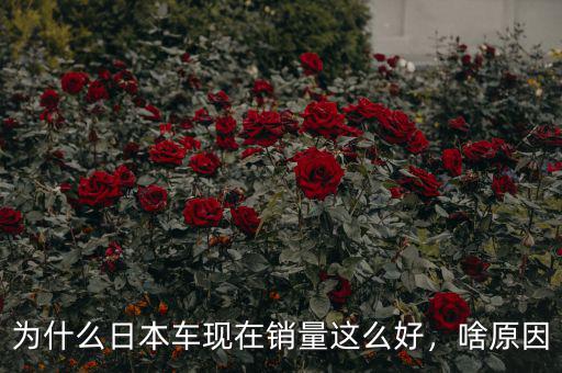 為什么日本車現(xiàn)在銷量這么好，啥原因
