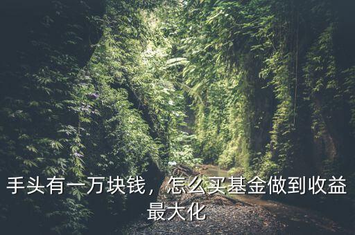 手頭有一萬(wàn)塊錢(qián)，怎么買(mǎi)基金做到收益最大化