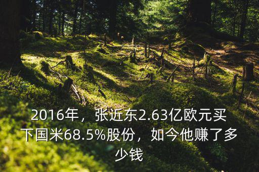 2016年，張近東2.63億歐元買下國米68.5%股份，如今他賺了多少錢