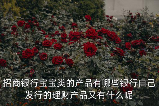 什么是寶寶類(lèi)產(chǎn)品,招商銀行寶寶類(lèi)的產(chǎn)品有哪些