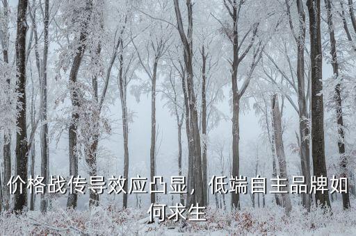 價格戰(zhàn)傳導(dǎo)效應(yīng)凸顯，低端自主品牌如何求生