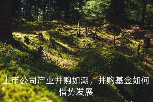 上市公司產(chǎn)業(yè)并購如潮，并購基金如何借勢發(fā)展