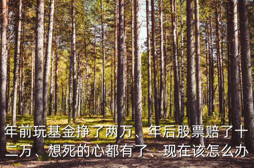 接受風(fēng)投后賠了怎么辦,賠了很多錢(qián)怎么辦
