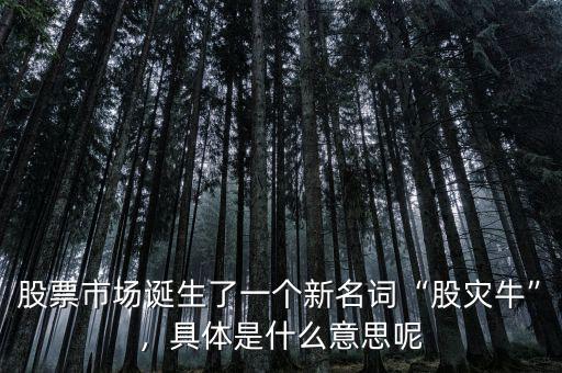 股票市場(chǎng)誕生了一個(gè)新名詞“股災(zāi)?！?，具體是什么意思呢