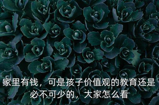 家里有錢，可是孩子價值觀的教育還是必不可少的，大家怎么看