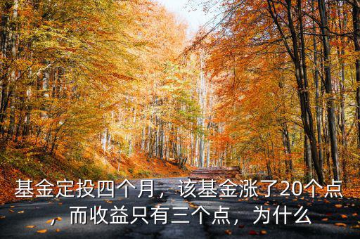基金定投四個月，該基金漲了20個點，而收益只有三個點，為什么